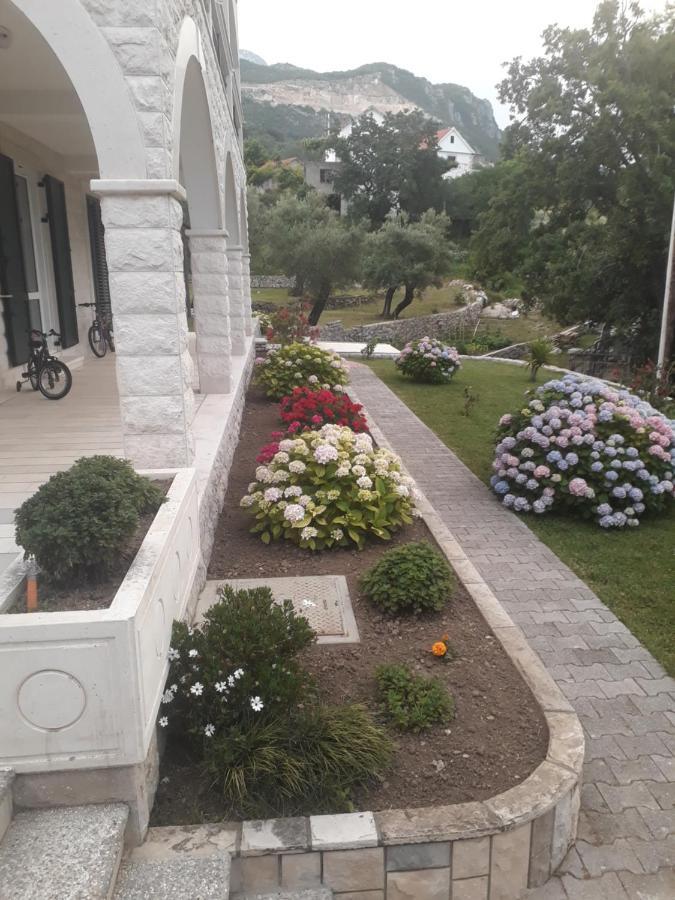 Apartmani Andrea Херцег Нови Екстериор снимка